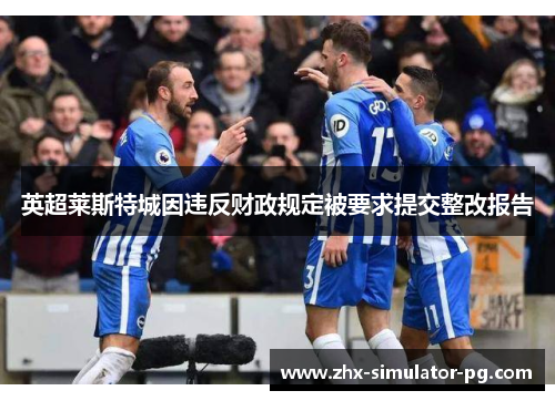 英超莱斯特城因违反财政规定被要求提交整改报告