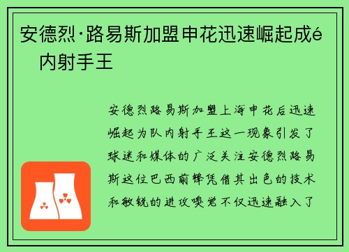 安德烈·路易斯加盟申花迅速崛起成队内射手王